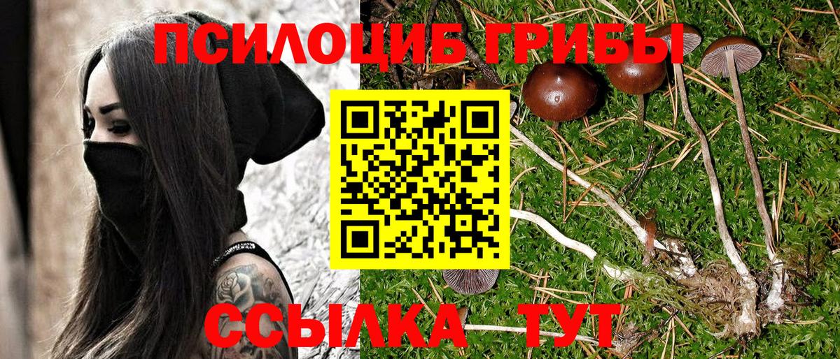 Псилоцибиновые грибы мухоморы Каменск-Уральский