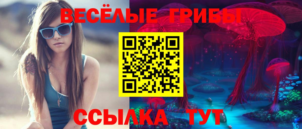 Каменск-Уральский  Галлюциногенные грибы прущие грибы  Вход с VPN 